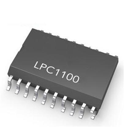 LPC1100