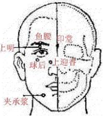 球後穴