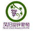 鳳陽富鋅葡萄 鳳陽富鋅葡萄
