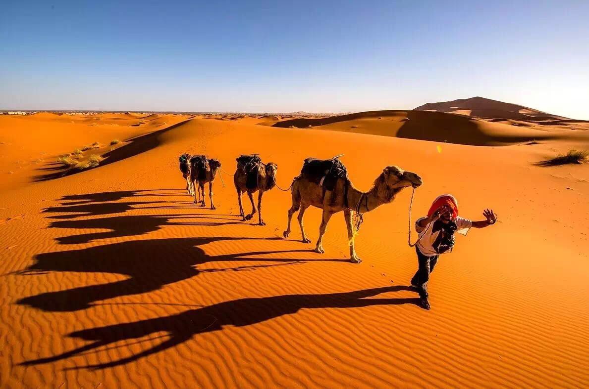撒哈拉沙漠景觀