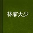 林家大少 林家大少