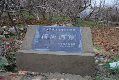楊應聘 楊應聘