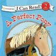 A Perfect Pony A Perfect Pony