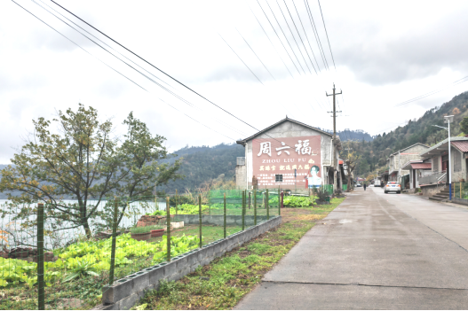 洞上坪村 洞上坪村