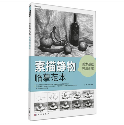 靜物素描(2008年上海大學出版社出版書籍)