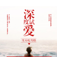 深度試愛 深度試愛