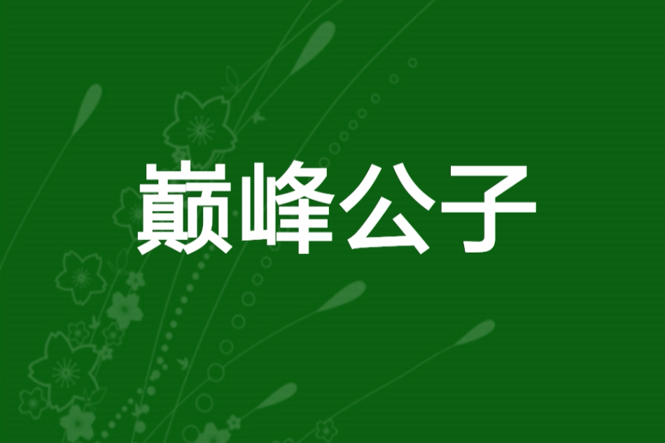 巔峰公子 巔峰公子
