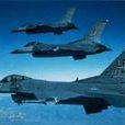 Fighting Falcon Fighting Falcon