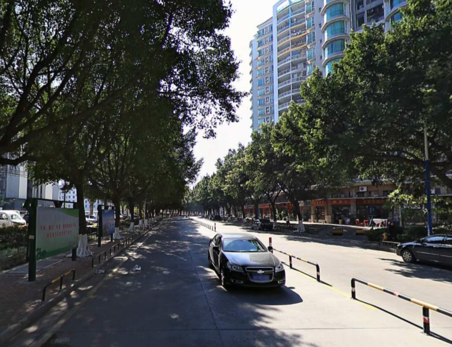 桃園西路 桃園西路