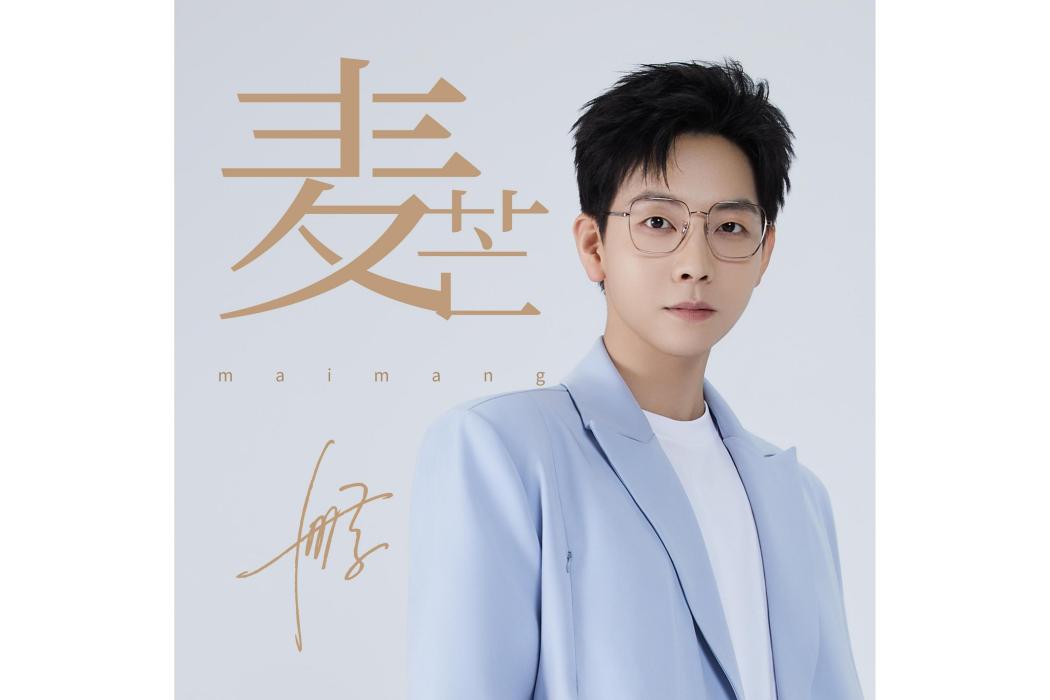 麥芒(胡夏演唱的歌曲) 麥芒(胡夏演唱的歌曲)