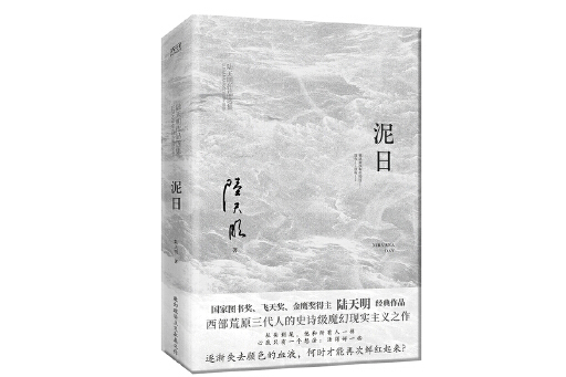 泥日(2023年北京聯合出版有限公司出版的圖書) 泥日(2023年北京聯合出版有限公司出版的圖書)
