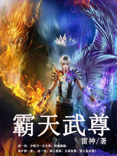霸天武尊(雷神創作的網路小說) 霸天武尊(雷神創作的網路小說)