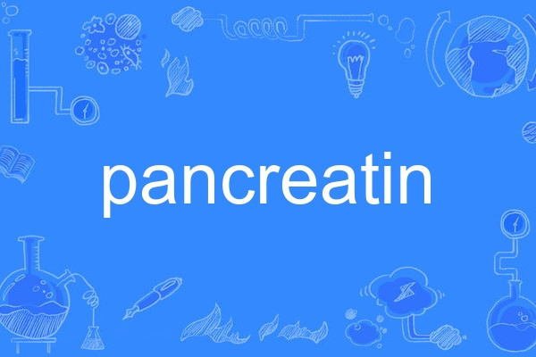 pancreatin pancreatin