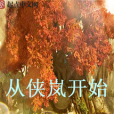 從俠嵐開始 從俠嵐開始
