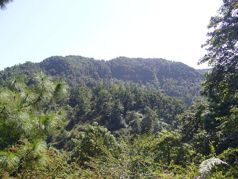 小魯碑村