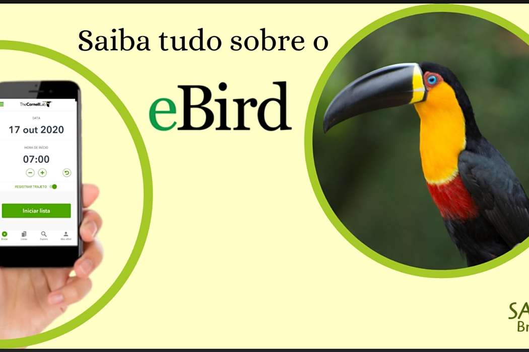 eBird