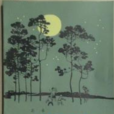 野孩子阿亭 野孩子阿亭