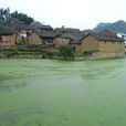 爛泥寨村(雲南省文山州丘北縣曰者鎮爛泥寨村) 爛泥寨村(雲南省文山州丘北縣曰者鎮爛泥寨村)