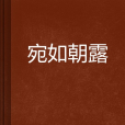 宛如朝露 宛如朝露