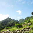 桑溝村(山西省呂梁市汾陽市峪道河鎮下轄村) 桑溝村(山西省呂梁市汾陽市峪道河鎮下轄村)