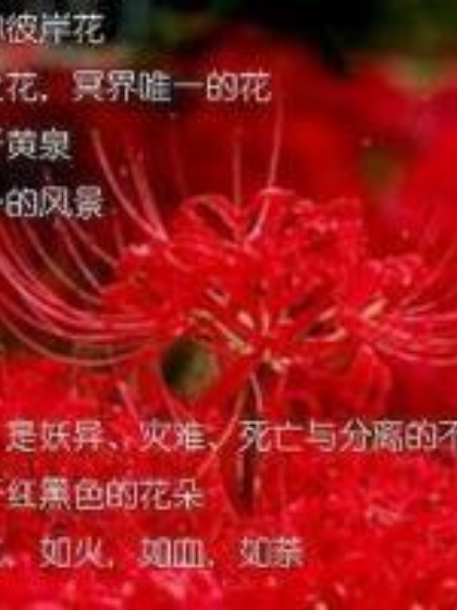 血聖歸來 血聖歸來