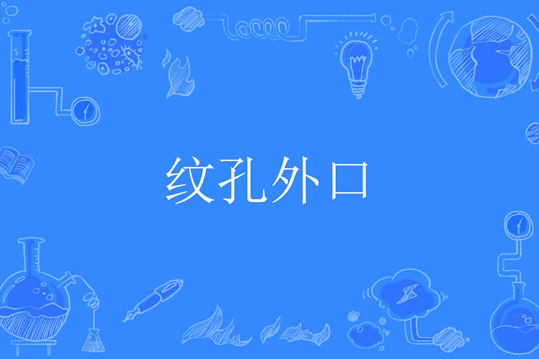紋孔外口 紋孔外口