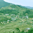 福地村 福地村
