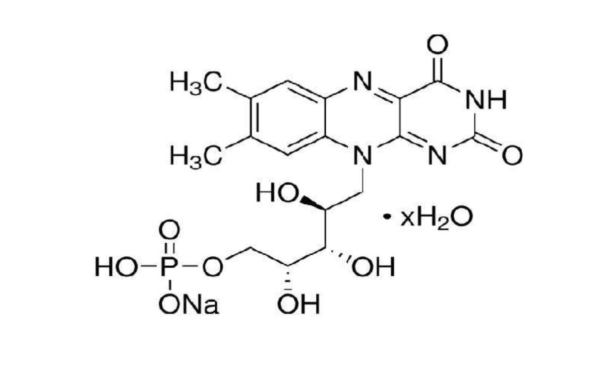 黃素單核苷酸(FMN)