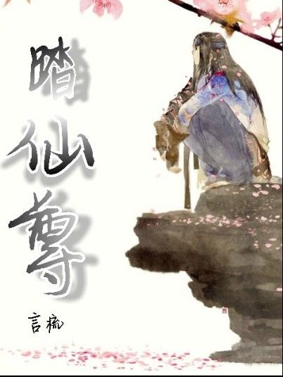 踏仙尊 踏仙尊