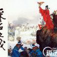 正隆南伐 正隆南伐