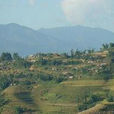 鐘一村 鐘一村