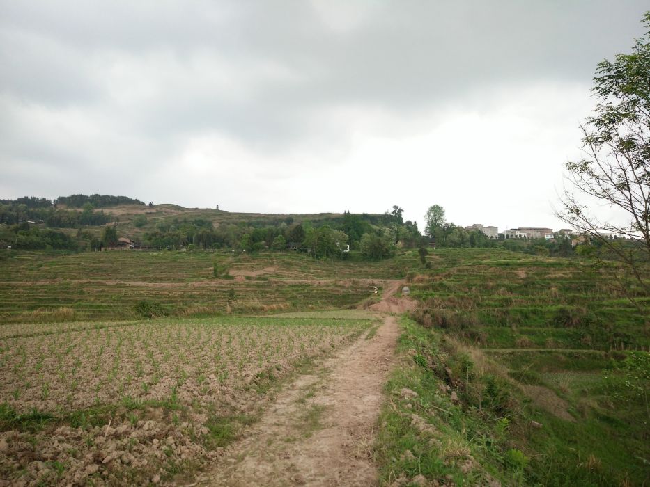 杉木岩村 杉木岩村