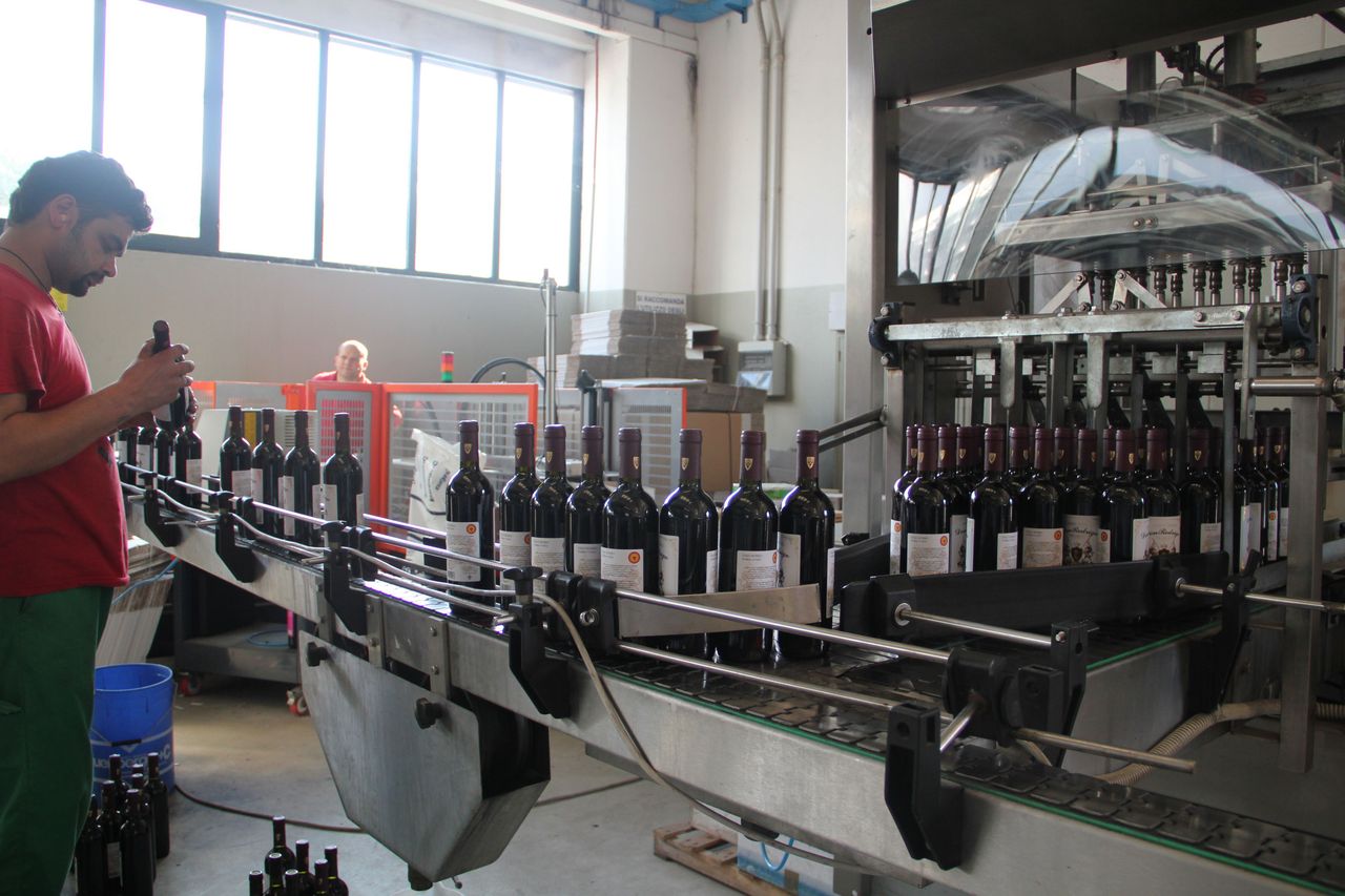 德洛帝乾紅葡萄酒生產流程