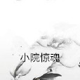 小院驚魂 小院驚魂