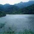 拐河 拐河