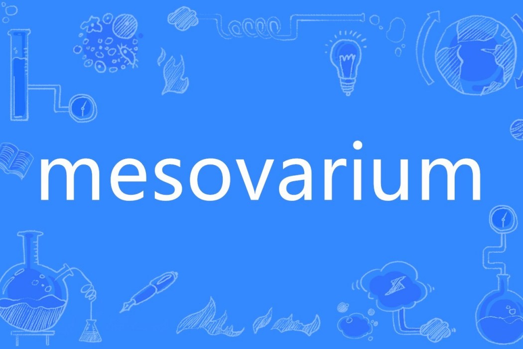 mesovarium mesovarium