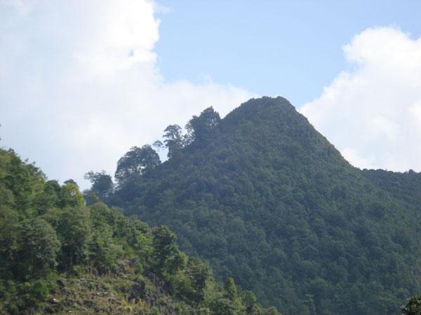 上魚塘村 上魚塘村