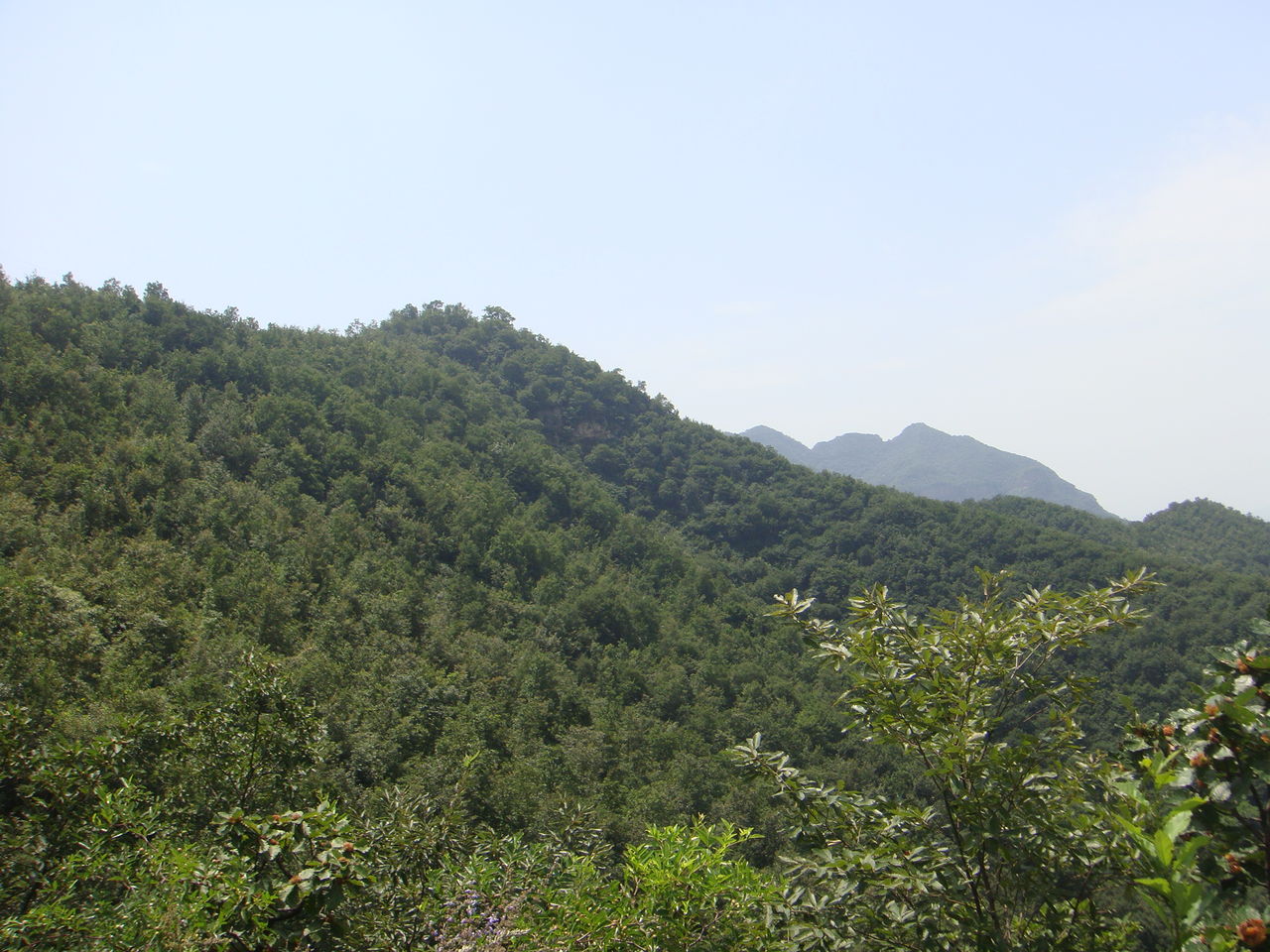 河南省汝州市九峰山森林公園