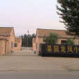 龍鳳國小 龍鳳國小