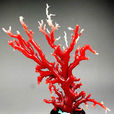 紅珊瑚(有機寶石)