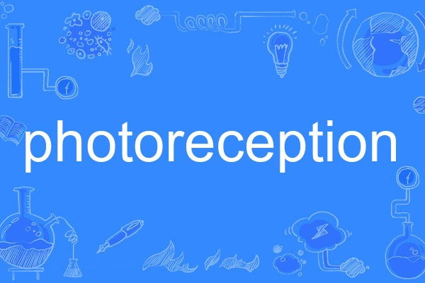 photoreception photoreception