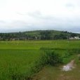 龍潭沖村 龍潭沖村