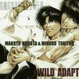 常夜燈(Wild Adapter中的歌曲) 常夜燈(Wild Adapter中的歌曲)