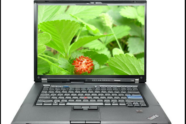 ThinkPad T500(2082CT2) ThinkPad T500(2082CT2)