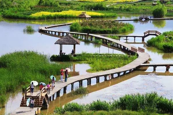 上海崇明西沙國家濕地公園(崇明西沙濕地公園)