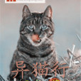 異貓行 異貓行