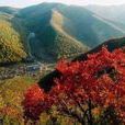 大寧翠雲山 大寧翠雲山