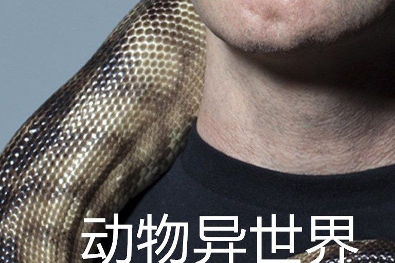動物異世界 動物異世界