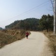 豐臺村(湖北黃石市陽新縣木港鎮豐臺村) 豐臺村(湖北黃石市陽新縣木港鎮豐臺村)