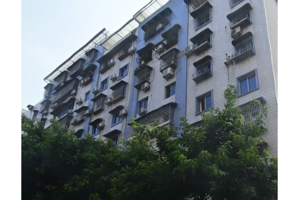 龍興街社區 龍興街社區